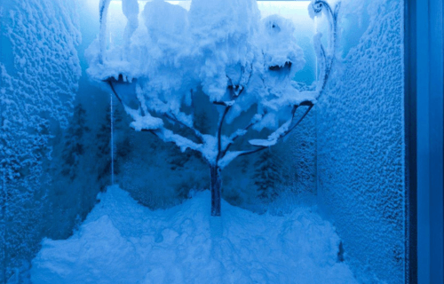 Snow Room